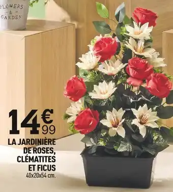 La jardinière 14€ clématites et ficus