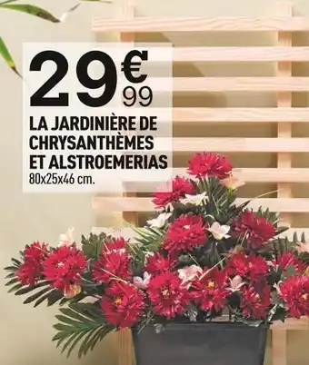 Centrakor La jardinière de chrysanthèmes et alstroemerias offre