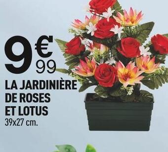 La jardinière de roses et lotus