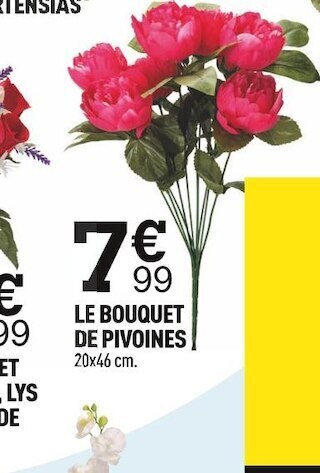 Centrakor Le bouquet de pivoines offre