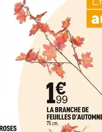 Centrakor La branche de feuilles d’automne offre