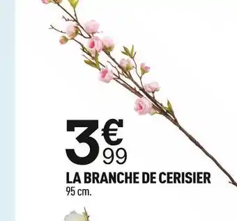 Centrakor La branche de cerisier offre