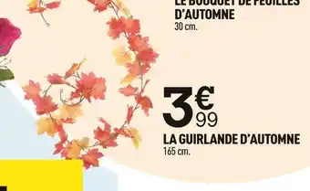 Centrakor La guirlande d’automne offre
