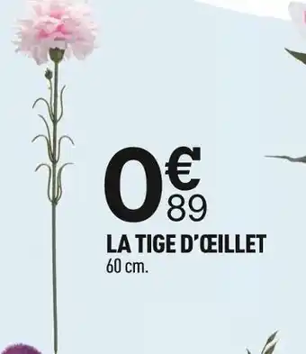 Centrakor La tige d’œillet offre