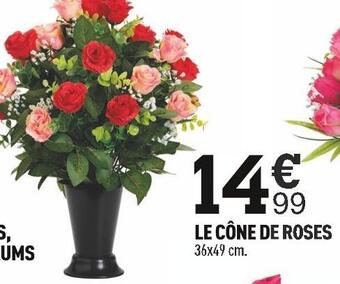 Centrakor Le cône de roses offre