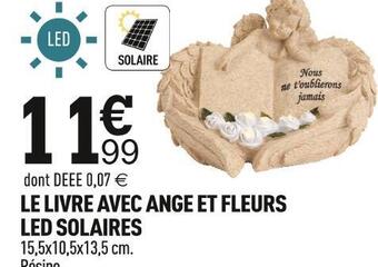 Centrakor Le livre avec ange et fleurs led solaires offre