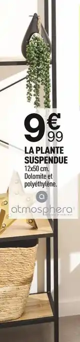 Centrakor Atmosphera la plante suspendue offre