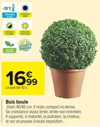 Carrefour Market Buis boule offre