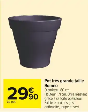 Carrefour Market Pot très grande taille roméo offre