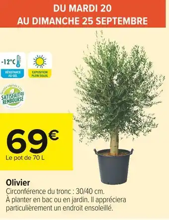 Carrefour Market Olivier offre