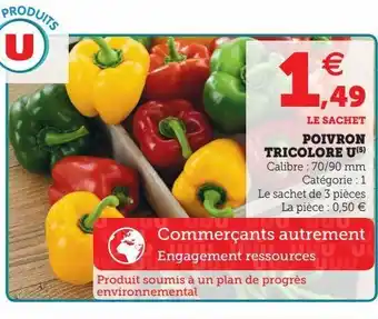 Poivron tricolore u(5)