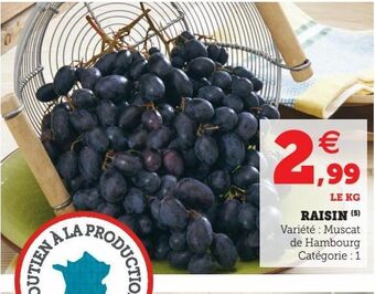 Raisin