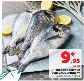 Super U Dorade royale d'aquaculture offre