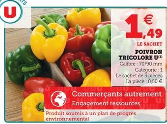 U Express Poivron tricolore u offre