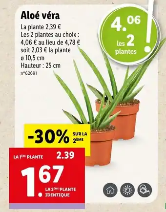 Lidl Aloé véra offre