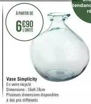 Géant Casino Vase simplicity offre