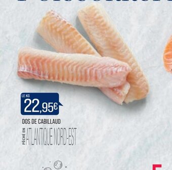 Match Dos De Cabillaud offre