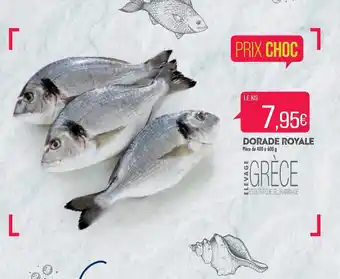Dorade Royale