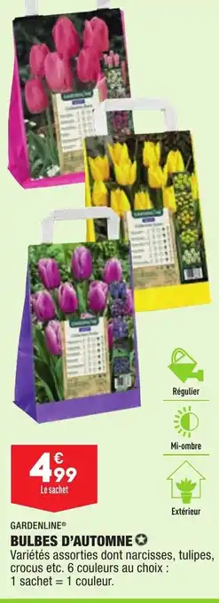 ALDI Bulbes D'Automne offre