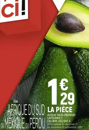 Avocat hass premuri