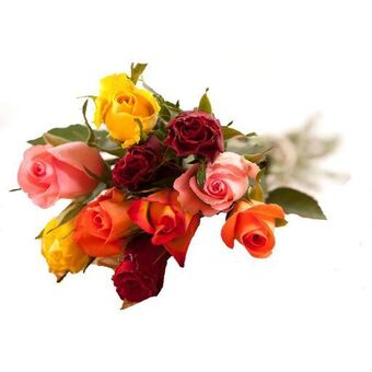 Auchan Supermarché Bouquet de 10 roses offre