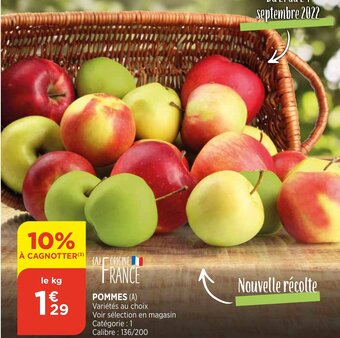 Bi1 Pommes offre