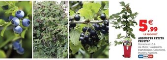 Super U Arbustes Petits Fruits offre