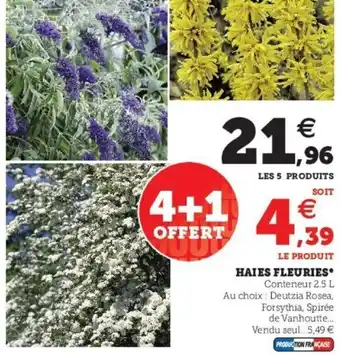 Super U Haies Fleuries offre