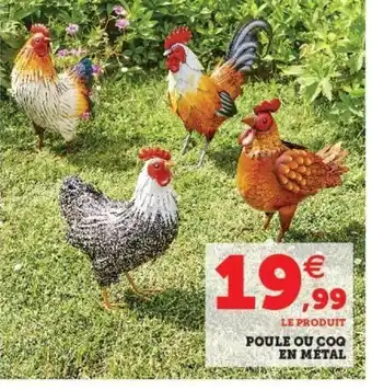 Super U Poule Ou COQ en Métal offre