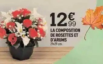 Centrakor La composition de rosettes et d'arums offre