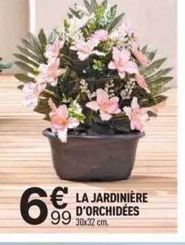 Centrakor La jardinière d'orchidées offre