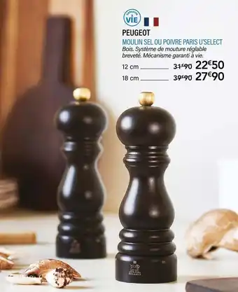 Ambiances & Styles Peugeot moulin sel ou poivre paris u’select offre