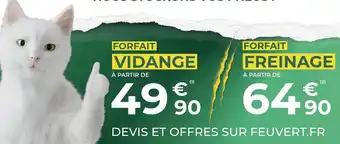 Feu Vert Forfait vidange, forfait freinage offre