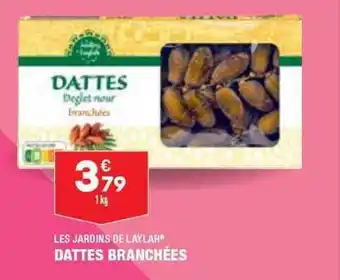 ALDI Dattes branchées les jardins de laylah offre
