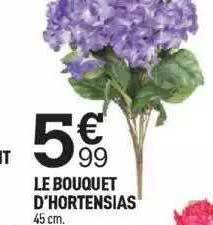 Centrakor Le bouquet d'hortensias offre