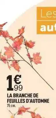Centrakor La branche de feuilles d'automne offre