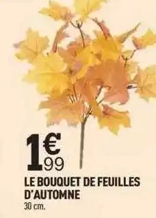 Centrakor Le bouquet de feuilles d'automne offre