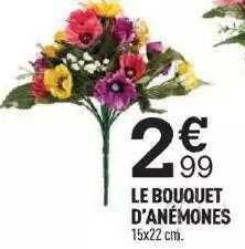 Centrakor Le bouquet d'anémones offre