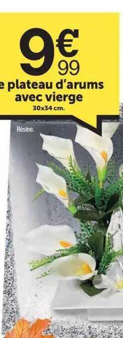 Centrakor Le plateau d'arums avec vierge offre