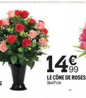 Centrakor Le cône de roses offre
