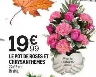 Le pot de roses et chrysanthèmes