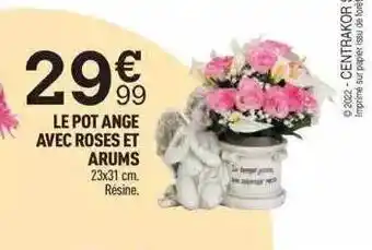 Centrakor Le pot ange avec roses et arums offre