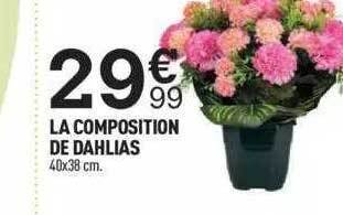 Centrakor La composition de dahlias offre