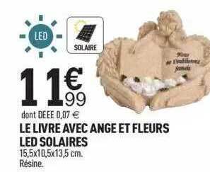 Centrakor Le livre avec ange et fleurs led solaires offre