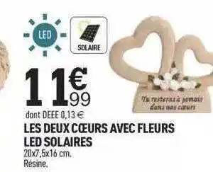 Centrakor Les deux cœurs avec fleurs led solaires offre