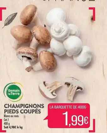 Match Champignons pieds coupés offre
