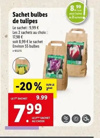 Sachet Bulbles De Tulipes