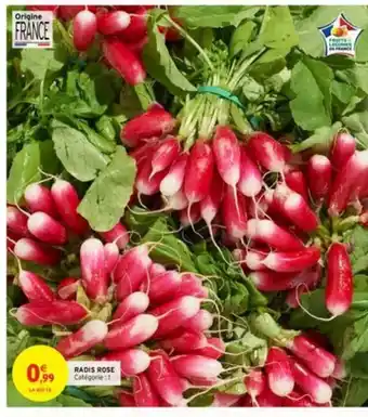 Intermarché Radis Rose offre