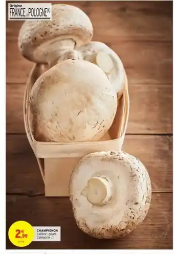 Champignon