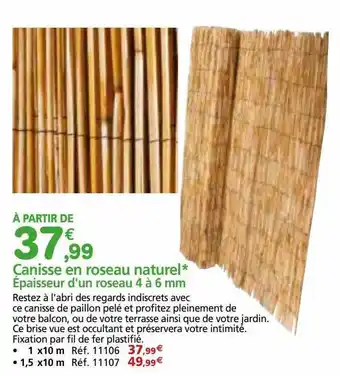 Provence Outillage Canisse en roseau naturel épaisseur d'un roseau 4 à 6 mm offre